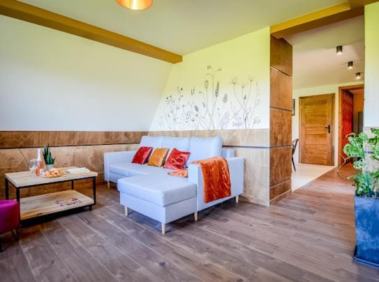 Atlas Chmur Apartament Biały Dunajec Exterior foto